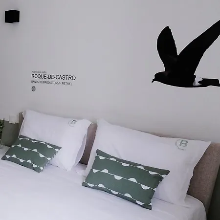 Boa Nova * Santa Cruz da Graciosa