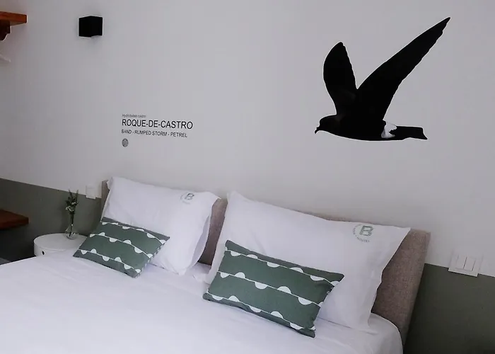 Boa Nova * サンタ・クルス・ダ・グラシオーザ